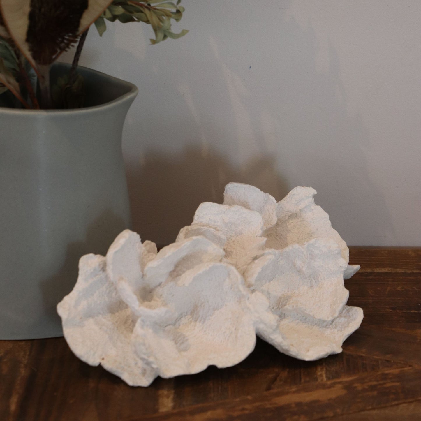 Laguna White Coral