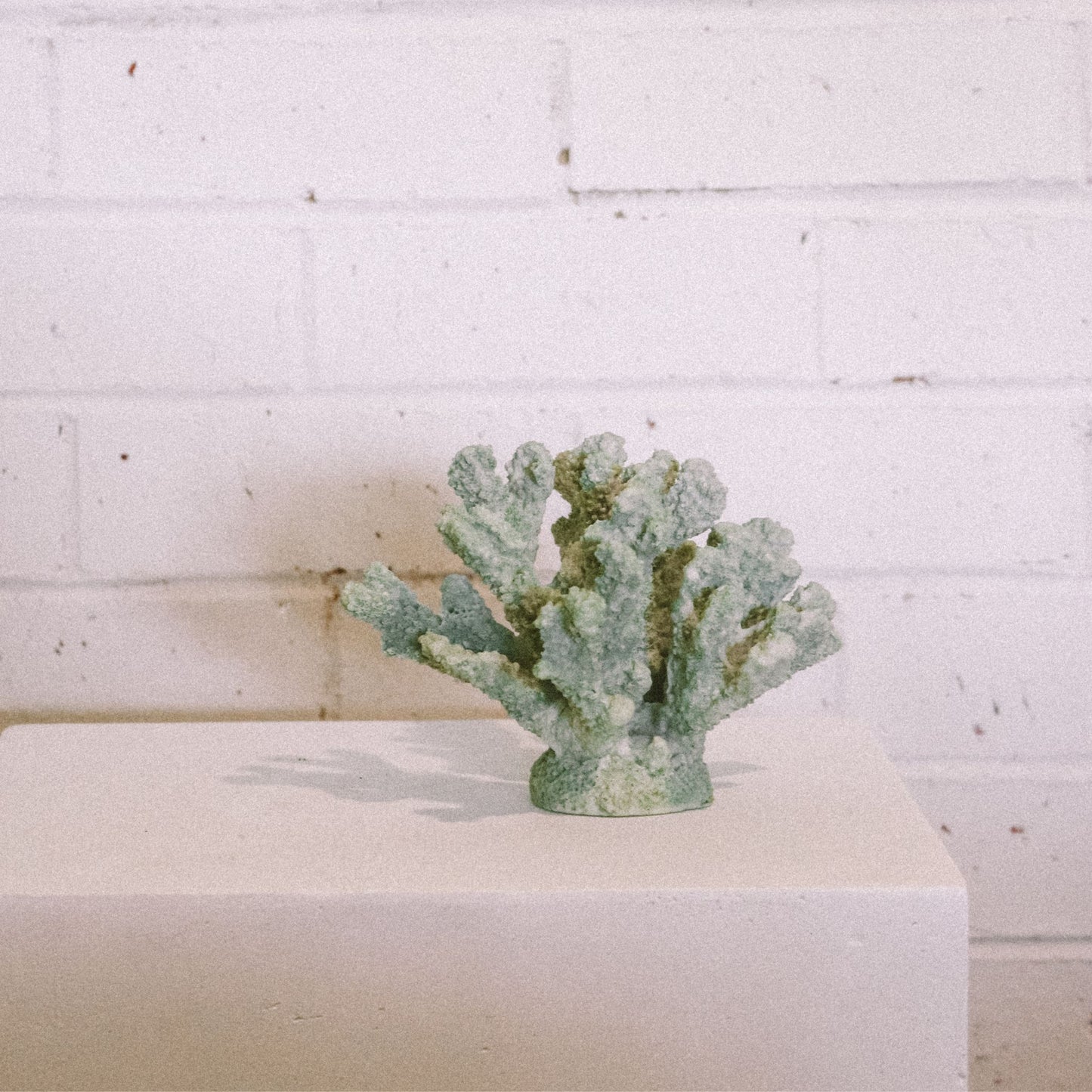 Marly Green Coral