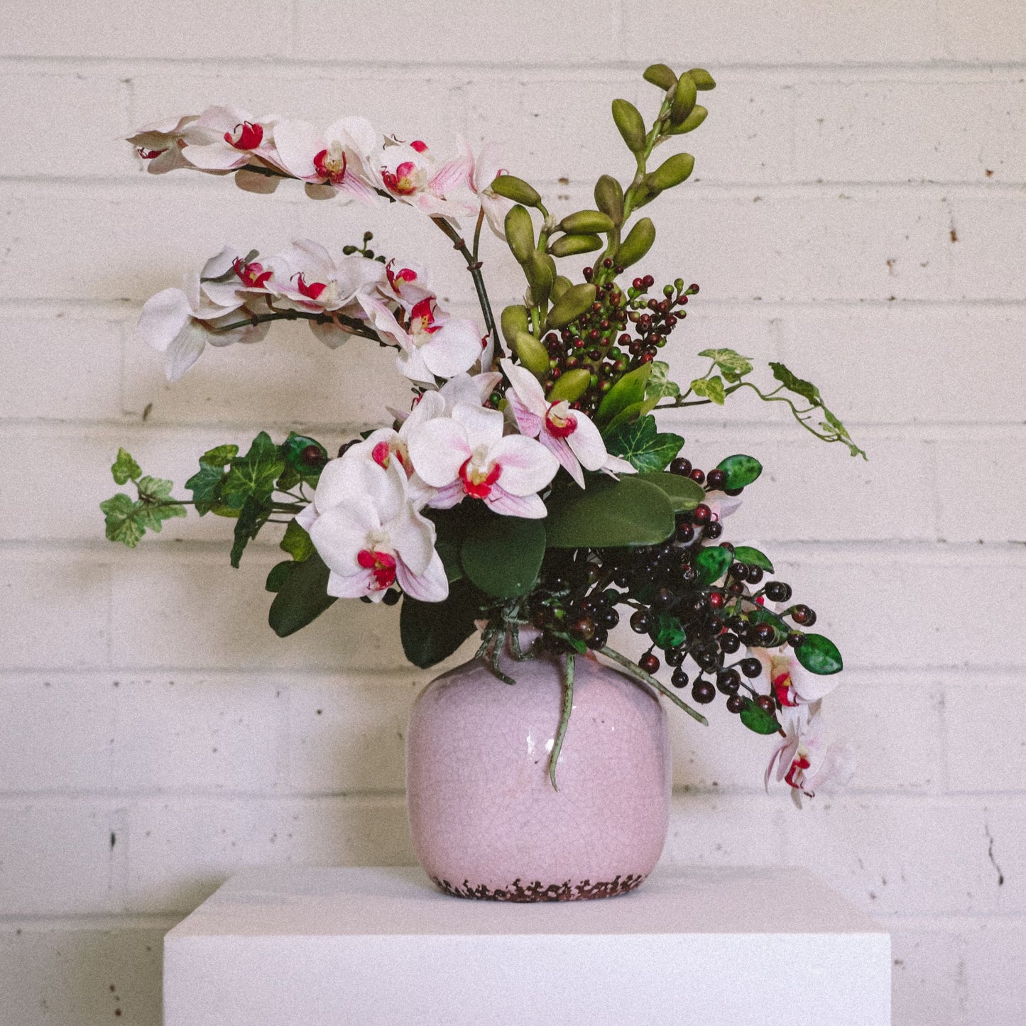 pink and white orchids in pink pot