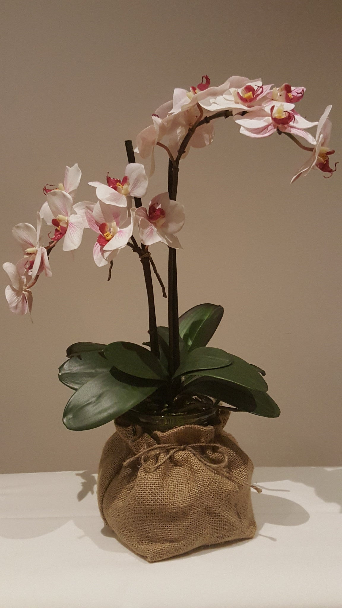 Orchid in hessian sack - adorned-interiors