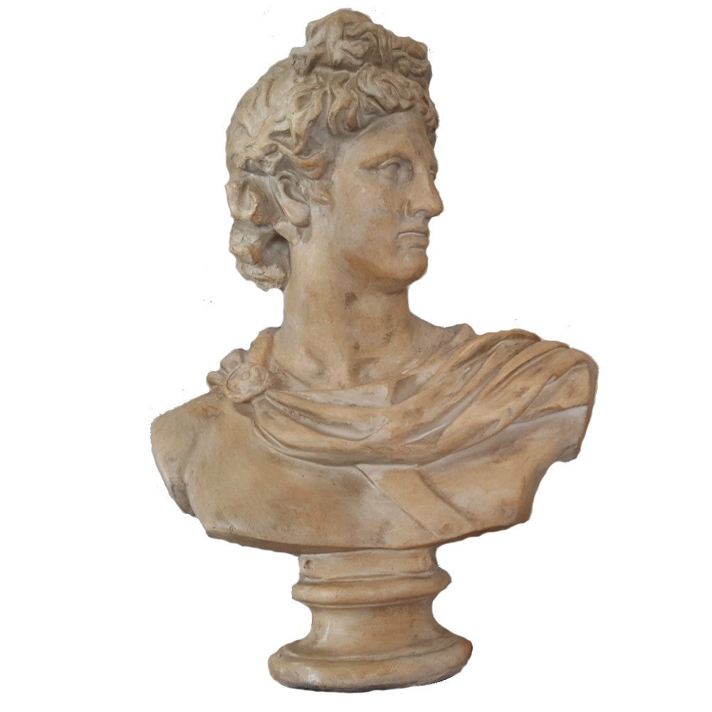 Large Antony bust - adorned-interiors
