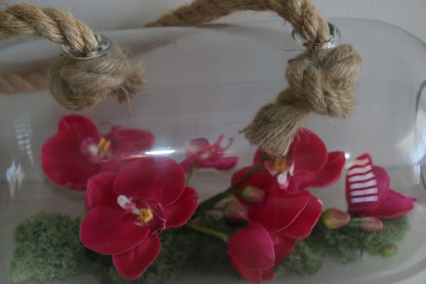 Orchid in hanging cloche - adorned-interiors