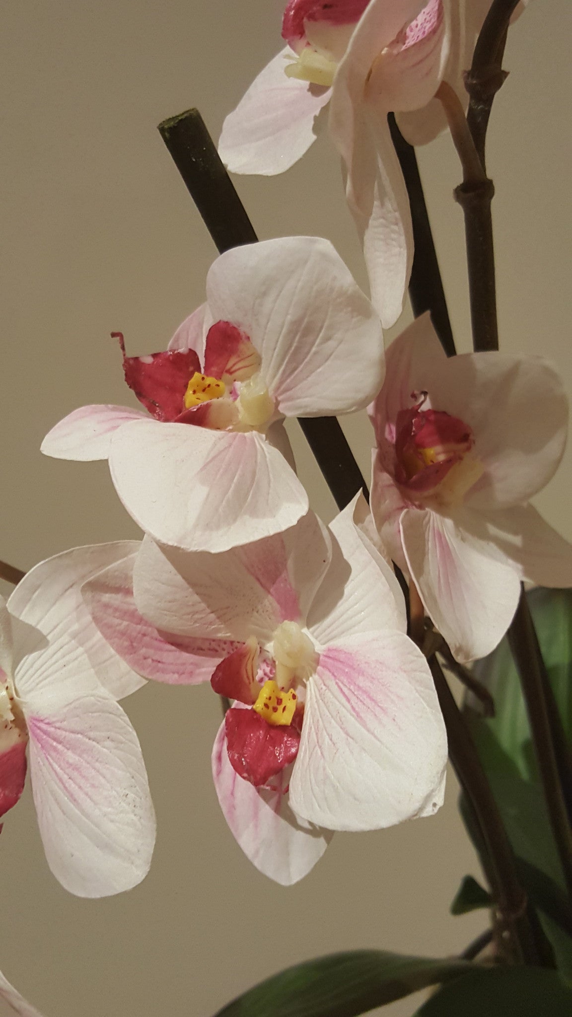 Orchid in hessian sack - adorned-interiors