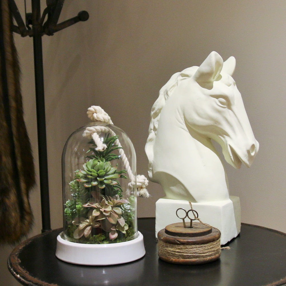 Rope cloche with succulents - adorned-interiors