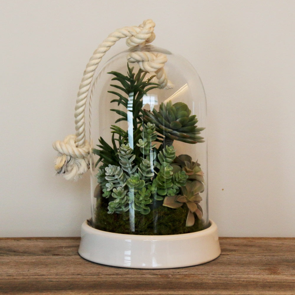 Rope cloche with succulents - adorned-interiors