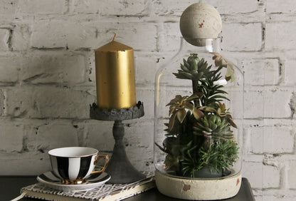 Succulent cloche - large rustic - adorned-interiors