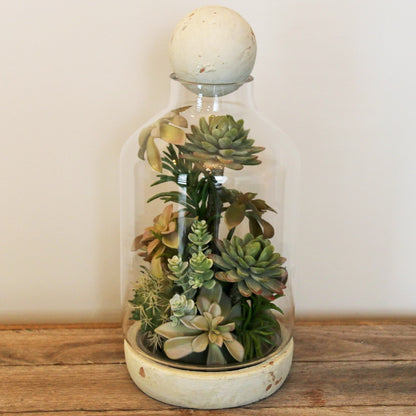 Succulent cloche - large rustic - adorned-interiors