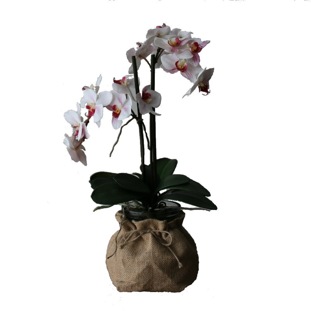Orchid in hessian sack - adorned-interiors